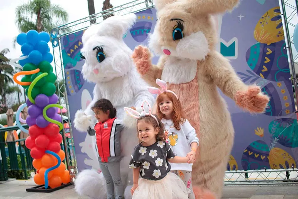 Coelhos brincam e se divertem em festa especial de páscoa