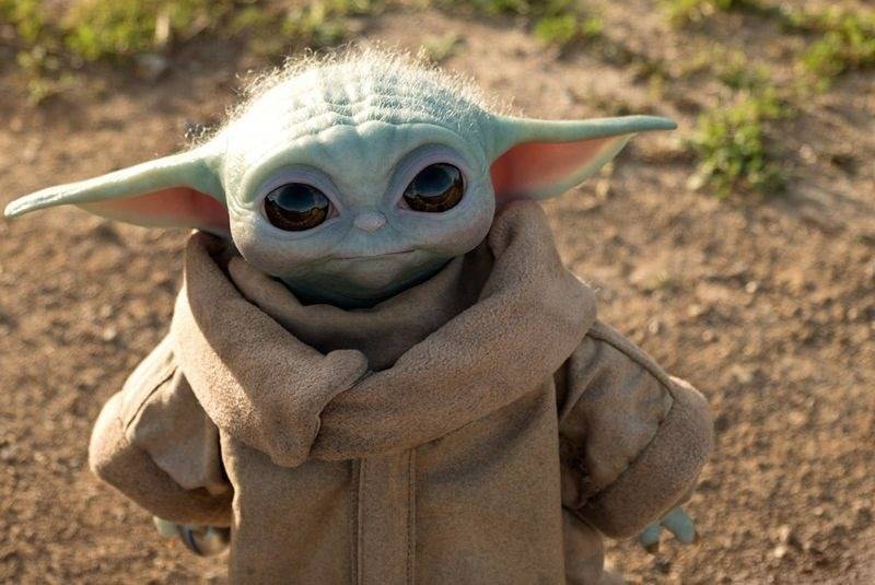 Contratar Cosplay Yoda - Star Wars