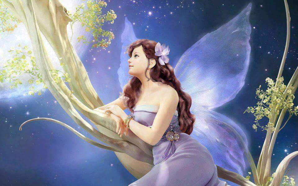 Contratar Personagem Vivo Jardim Encantado