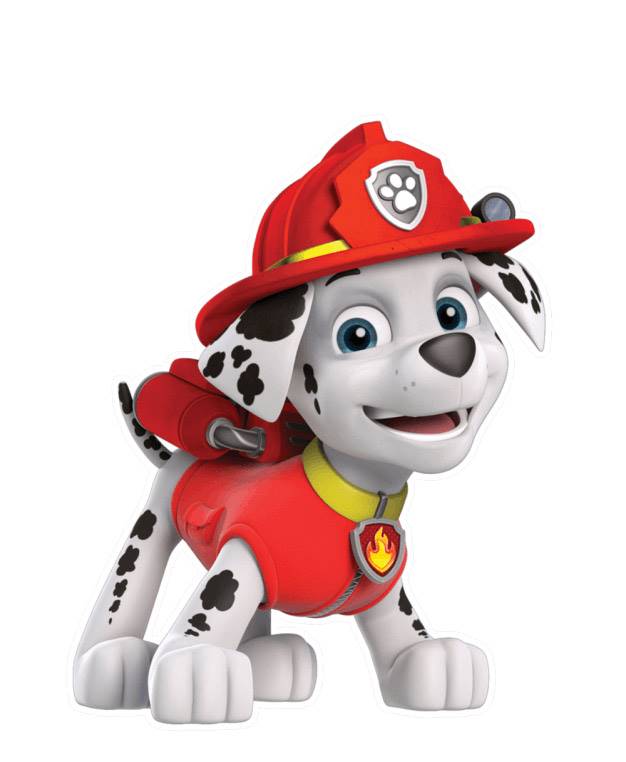 Contratar Skye Personagem Vivo - Patrulha Canina Contratar Skye Personagem Vivo - Patrulha Canina